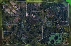 The Echovald Wilds map.jpg