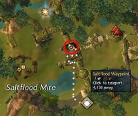 Trek Saltflood Altar Location.jpg