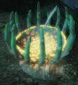 Thumbnail for version as of 02:01, 14 March 2020