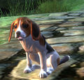 Thumbnail for version as of 13:32, 13 March 2014