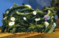 Thumbnail for version as of 18:42, 14 September 2016