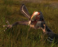 Thumbnail for version as of 23:12, 15 September 2012