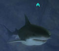 Thumbnail for version as of 21:53, 27 February 2014