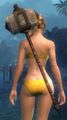 Thumbnail for version as of 20:22, 19 August 2014