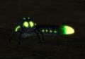 Thumbnail for version as of 14:18, 29 April 2012