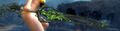 Thumbnail for version as of 21:53, 14 September 2014
