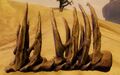 Thumbnail for version as of 05:33, 13 October 2017