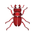 Thumbnail for version as of 14:18, 11 December 2017