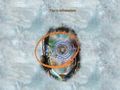 Thumbnail for version as of 07:43, 17 December 2012