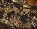 Thumbnail for version as of 19:06, 29 March 2016