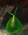 Thumbnail for version as of 05:38, 5 May 2015