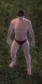 Thumbnail for version as of 01:31, 15 May 2013