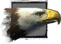 Thumbnail for version as of 17:51, 21 August 2012