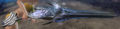 Thumbnail for version as of 11:50, 12 September 2014