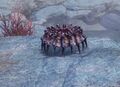 Thumbnail for version as of 21:17, 21 November 2023