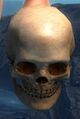 Thumbnail for version as of 20:48, 24 August 2014