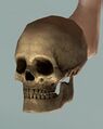 Thumbnail for version as of 23:21, 7 September 2024