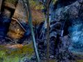 Thumbnail for version as of 19:35, 15 June 2013