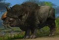 Thumbnail for version as of 03:15, 16 February 2025