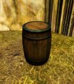 Thumbnail for version as of 01:13, 26 February 2023
