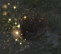 Thumbnail for version as of 05:33, 2 October 2017