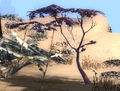 Thumbnail for version as of 01:55, 2 October 2012