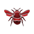 Thumbnail for version as of 14:18, 11 December 2017