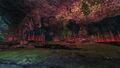Thumbnail for version as of 14:30, 29 October 2025