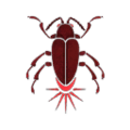 Thumbnail for version as of 14:24, 11 December 2017