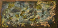 Thumbnail for version as of 18:42, 22 January 2016