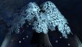 Thumbnail for version as of 08:17, 27 January 2016