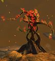 Thumbnail for version as of 06:35, 11 May 2017