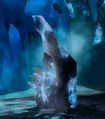 Thumbnail for version as of 08:23, 8 March 2017
