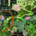 Thumbnail for version as of 01:13, 3 March 2022