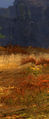 Thumbnail for version as of 08:02, 16 January 2014
