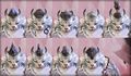 Thumbnail for version as of 21:13, 27 April 2016