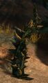 Thumbnail for version as of 08:25, 18 August 2014