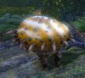 Thumbnail for version as of 04:28, 22 July 2016