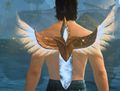 Thumbnail for version as of 16:50, 17 March 2016