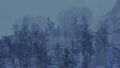 Thumbnail for version as of 17:19, 3 April 2020