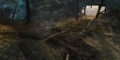 Thumbnail for version as of 00:08, 7 October 2020