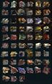 Thumbnail for version as of 21:25, 5 July 2024