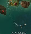 Thumbnail for version as of 21:29, 18 April 2021