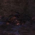 Thumbnail for version as of 17:08, 20 April 2022