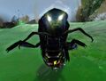 Thumbnail for version as of 07:22, 6 May 2022