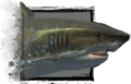 Thumbnail for version as of 03:59, 18 June 2012