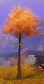 Thumbnail for version as of 13:08, 29 April 2012