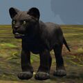 Thumbnail for version as of 01:19, 23 March 2025