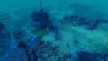 Thumbnail for version as of 07:55, 6 February 2022