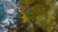 Thumbnail for version as of 18:27, 14 September 2020
